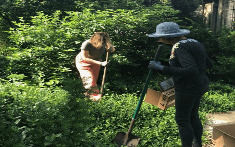 Evanston Rebuilding Warehouse