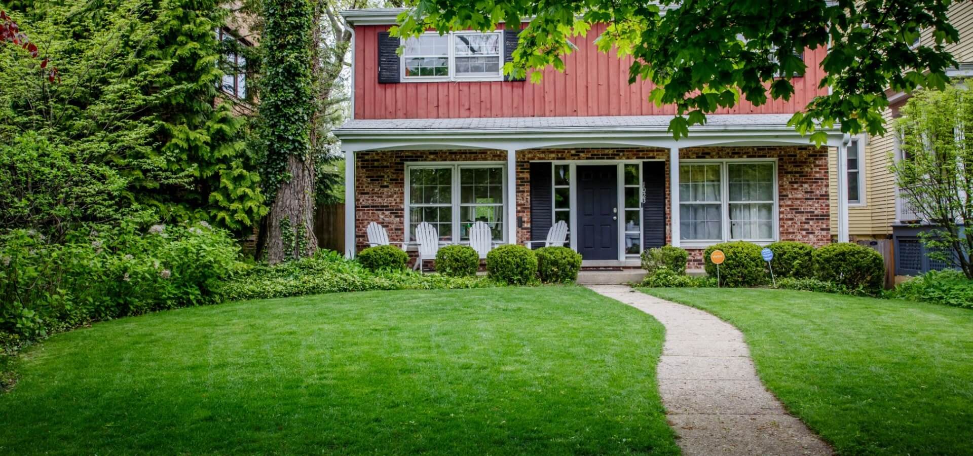 Beautiful organic lawn