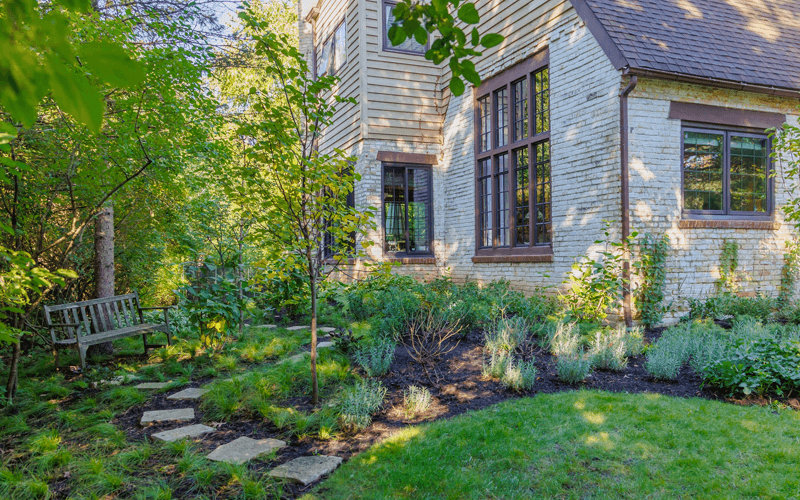 Garden pathway leading to bench with natural plantings