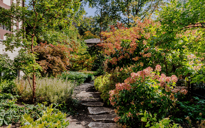 Planting & Garden Installation example