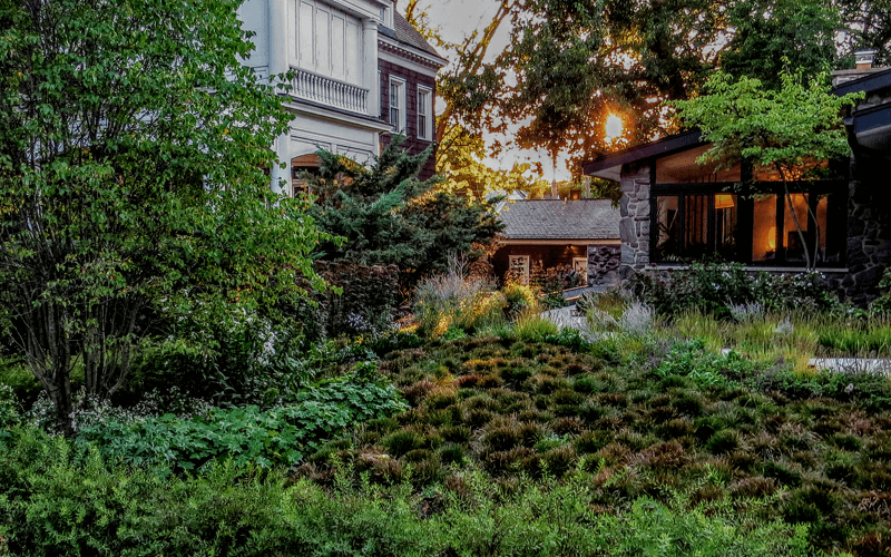 Professional Full Service Maintenance