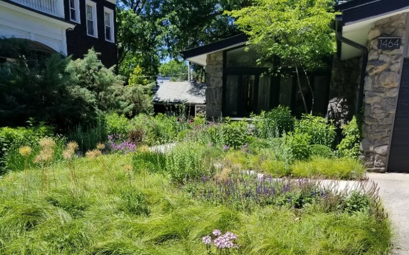 Professional Full Service Maintenance