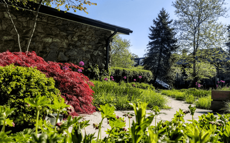 Landscape Maintenance