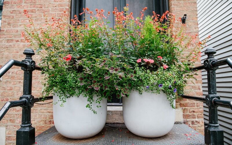 Low-maintenance plantings