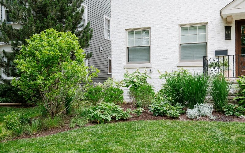 Garden Bed Maintenance