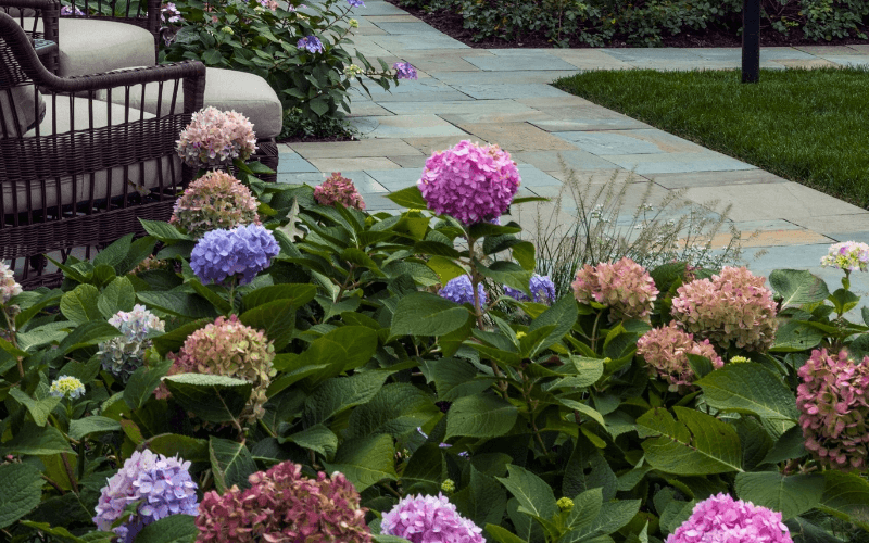 Front landscaping detail