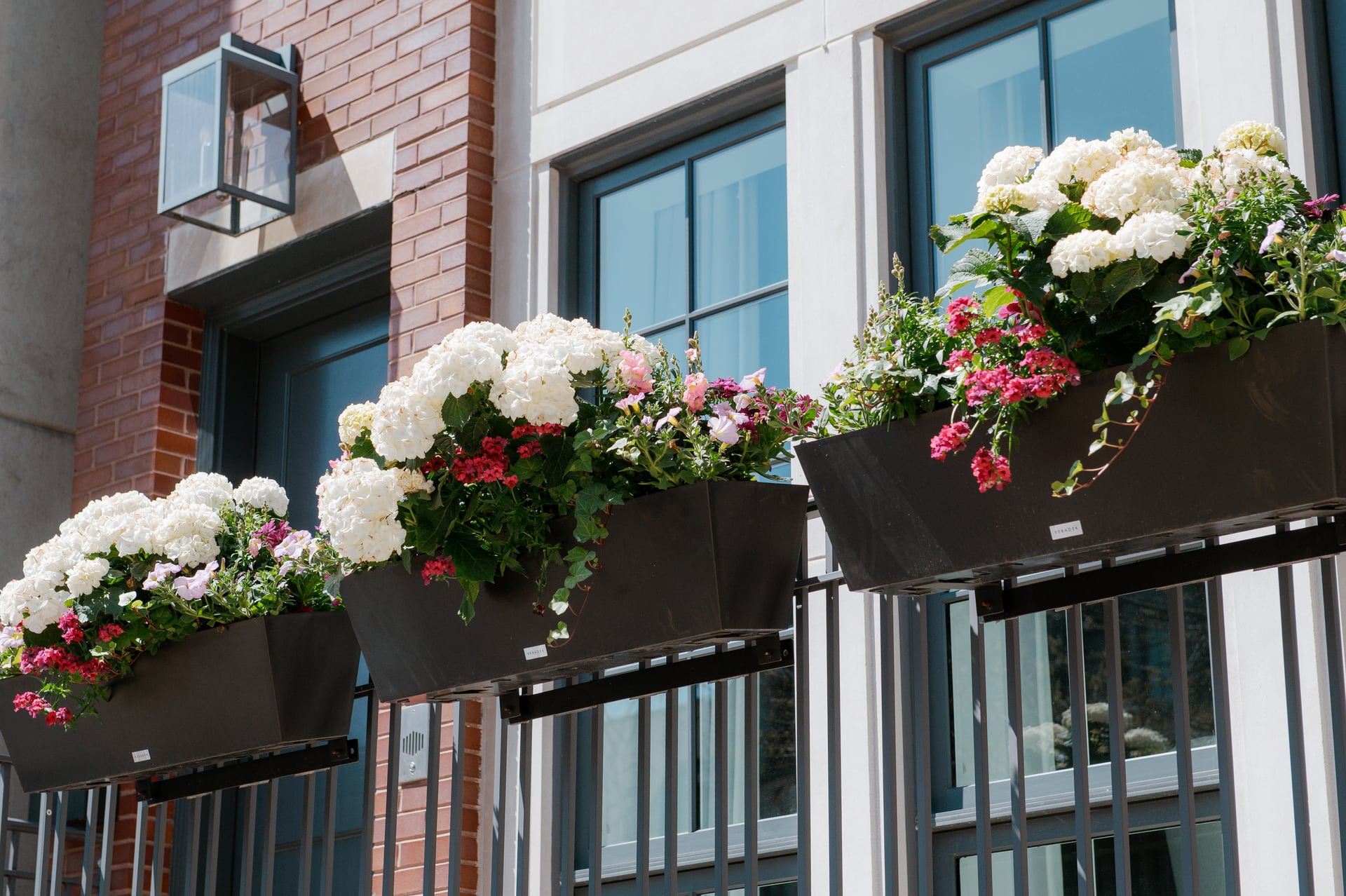 Professional Seasonal Flower Rotations