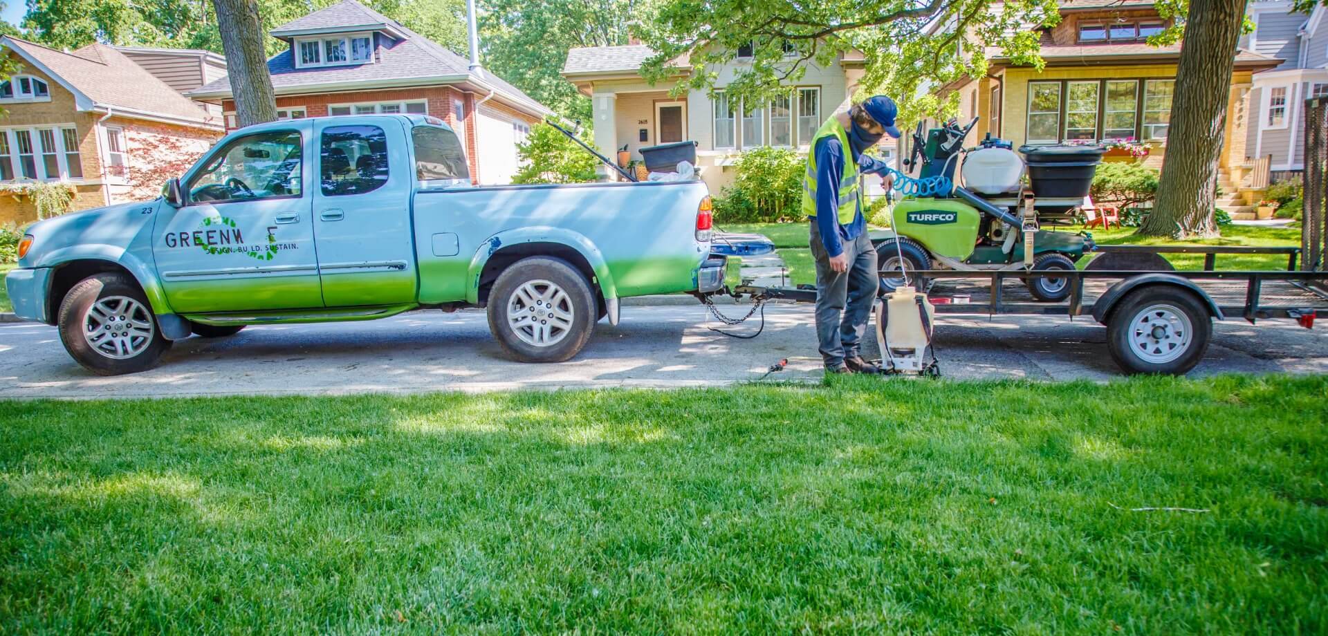May Dandelion Flush and the Organic Response in Chicagoland