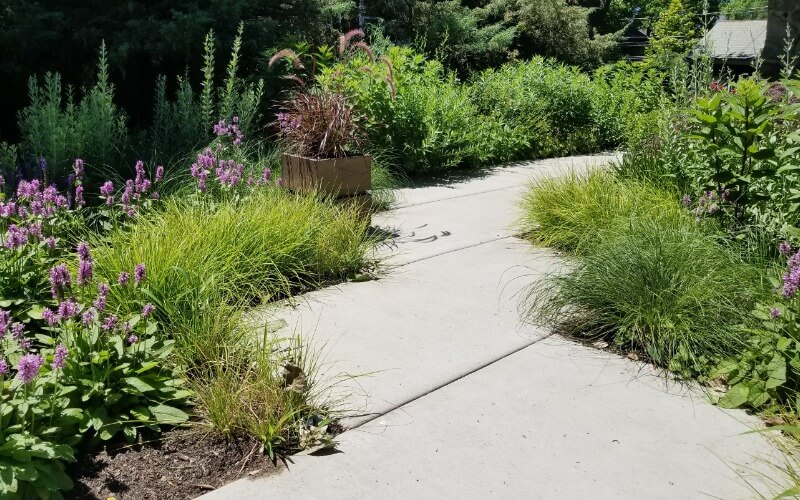 Project Landscaping in Evanston, IL